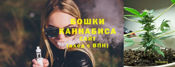 индика Киренск