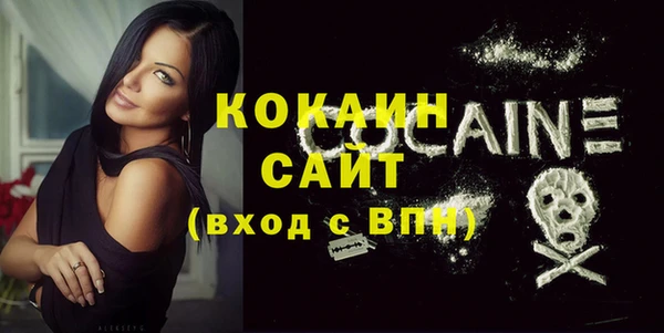 индика Киренск