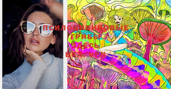 стафф Кинешма