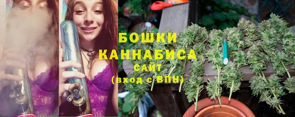 индика Киренск