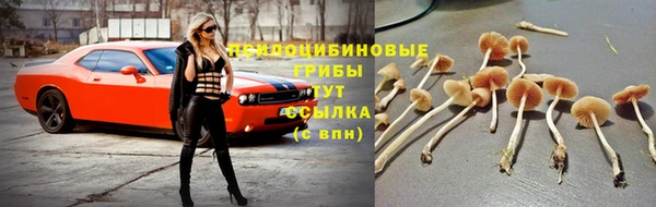 стафф Кинешма